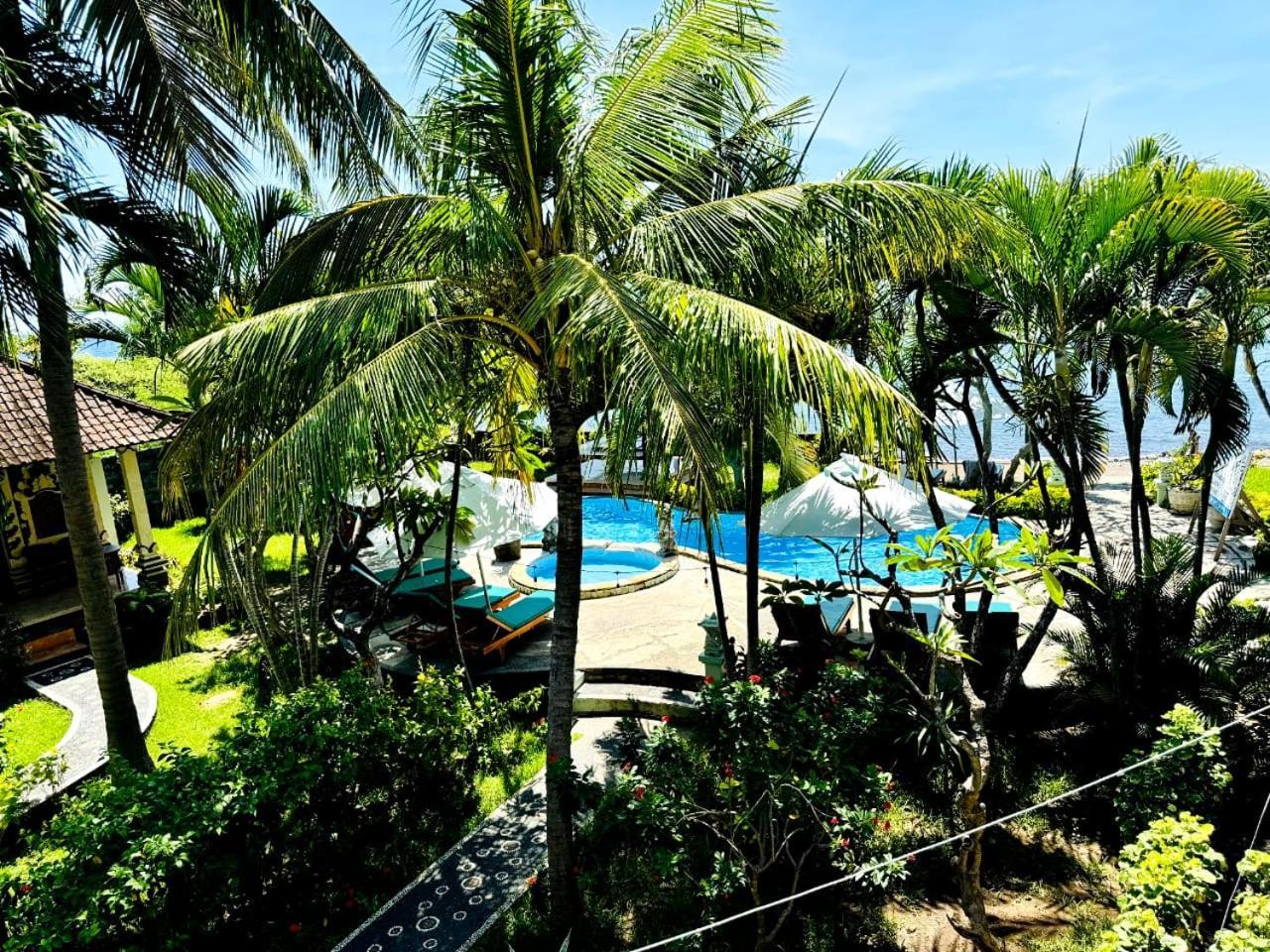 Coral Bay Bungalows Amed Exteriér fotografie
